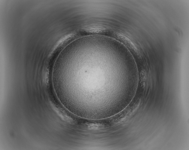 X0000112110400200908041545