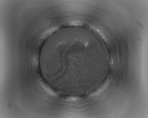 X0000112110402200908041545