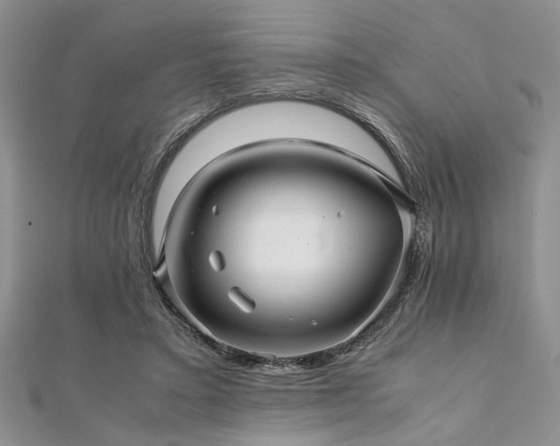 X0000112110403200908041545