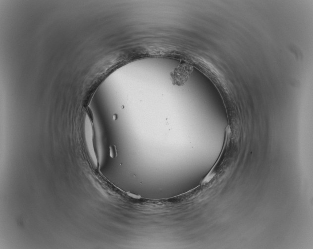 X0000112110405200908041545