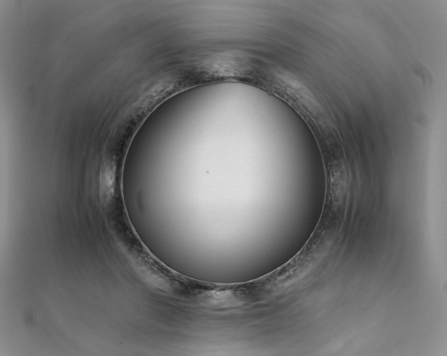 X0000112110406200908041545