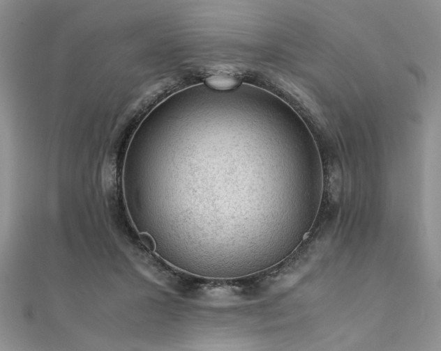 X0000112110407200908041545