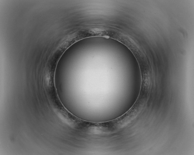 X0000112110408200908041545