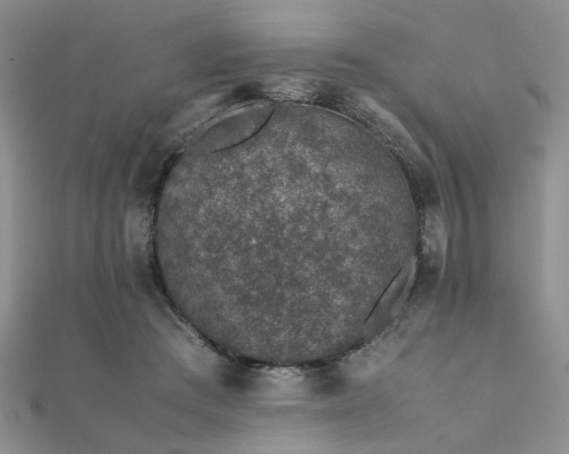 X0000112110409200908041545