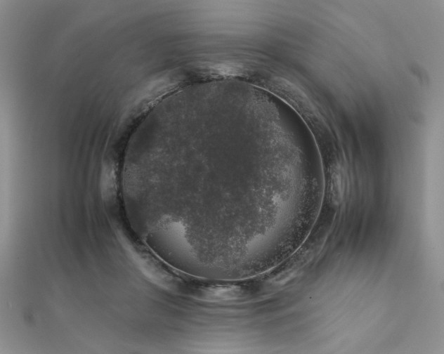 X0000112110410200908041545