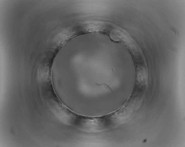 X0000112110411200908041545