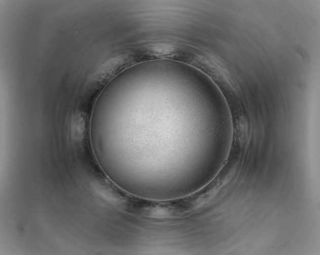 X0000112110412200908041545