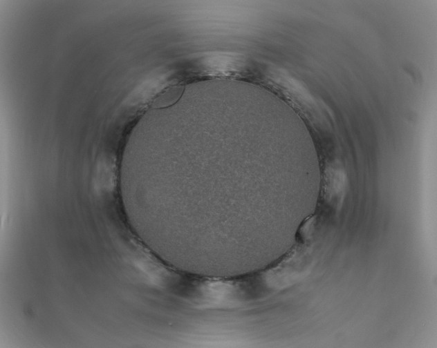 X0000112110413200908041545