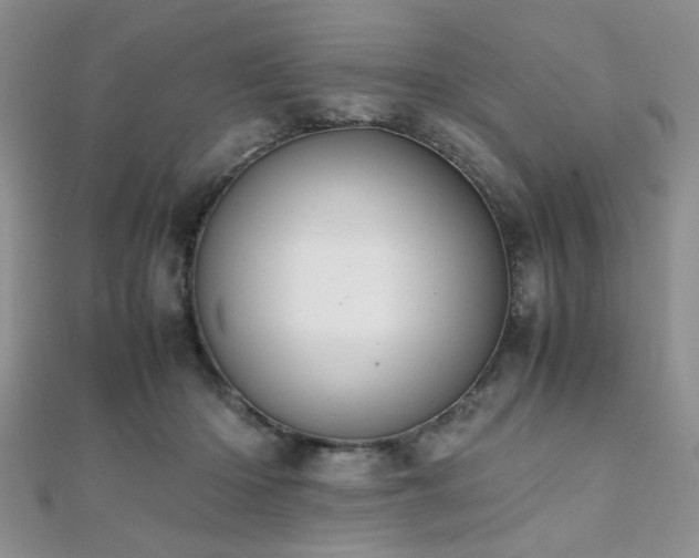 X0000112110414200908041545