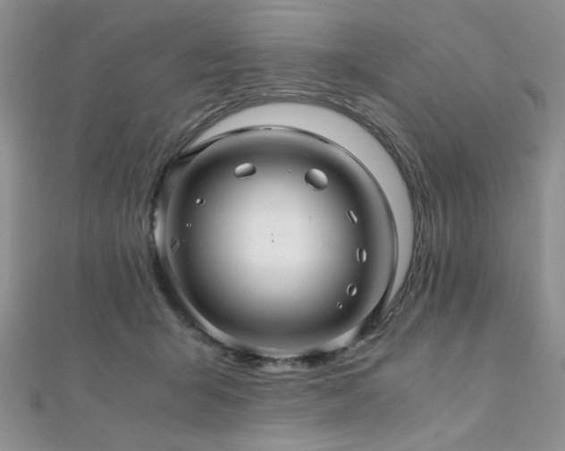 X0000112110415200908041545