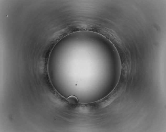 X0000112110416200908041545