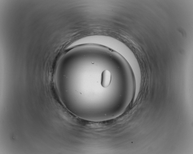 X0000112110417200908041545