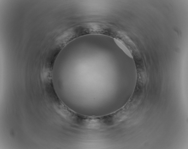 X0000112110419200908041545