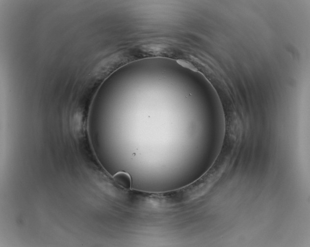 X0000112110420200908041545