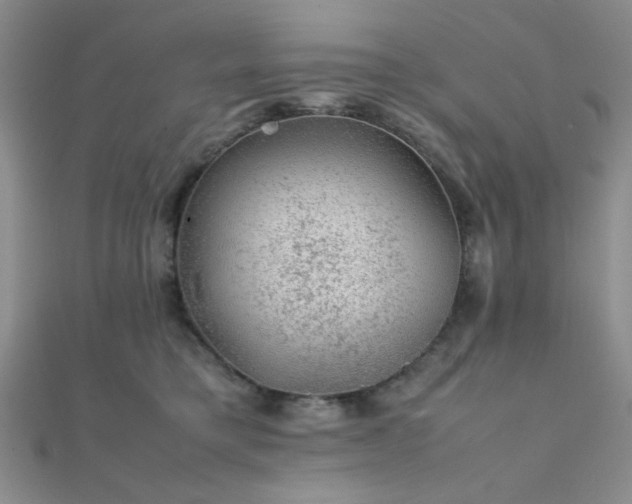 X0000112110421200908041545