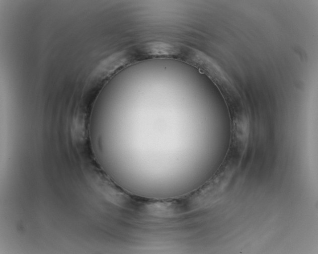 X0000112110422200908041545