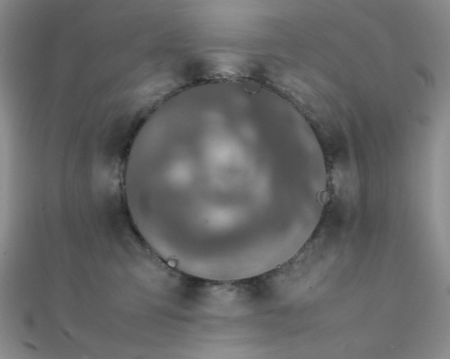 X0000112110423200908041545