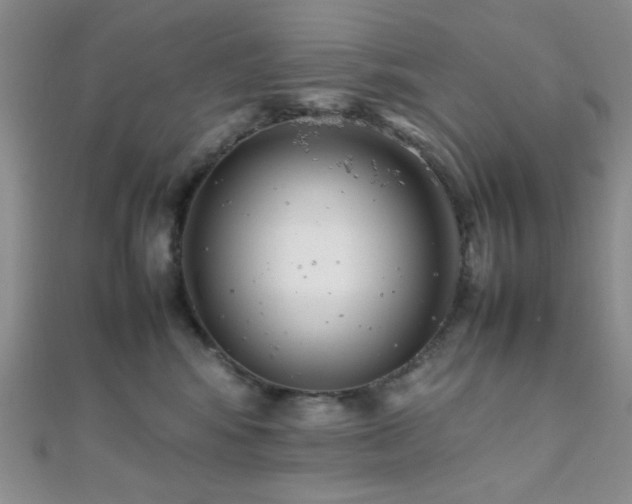 X0000112110424200908041545