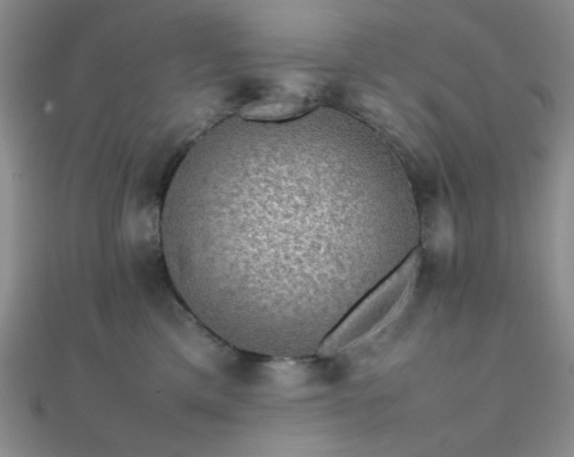 X0000112110425200908041545