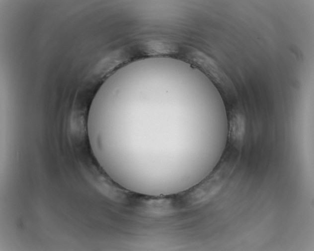 X0000112110426200908041545