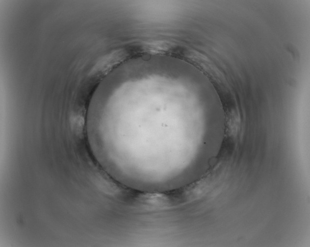 X0000112110427200908041545