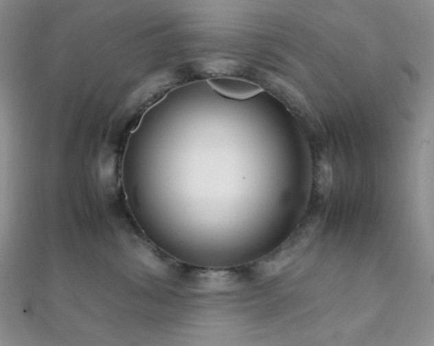 X0000112110428200908041545