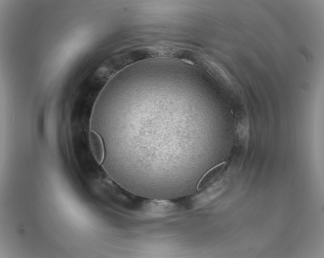 X0000112110429200908041545