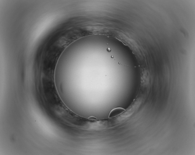 X0000112110430200908041545