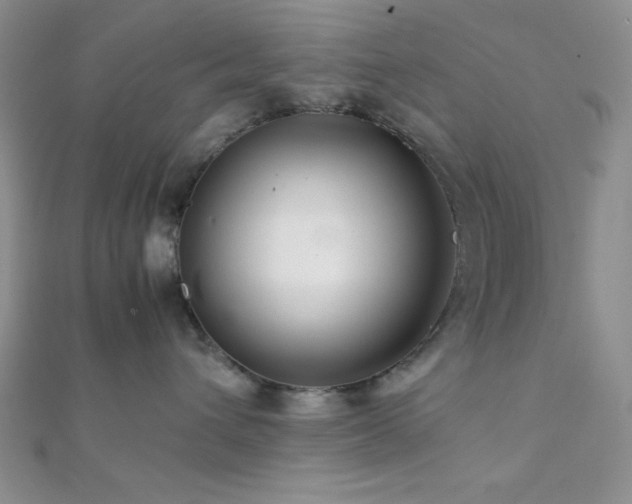 X0000112110432200908041545