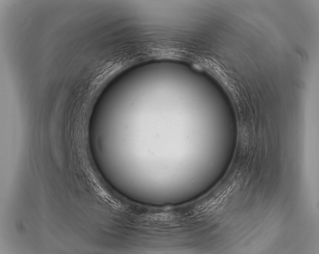 X0000112110433200908041544