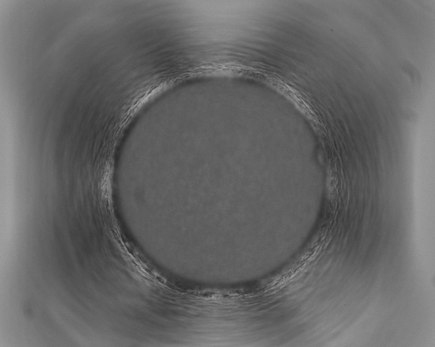 X0000112110434200908041544