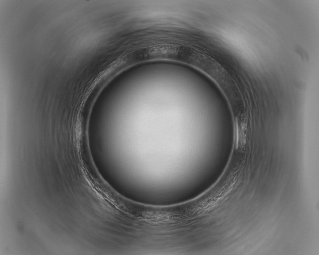 X0000112110435200908041544