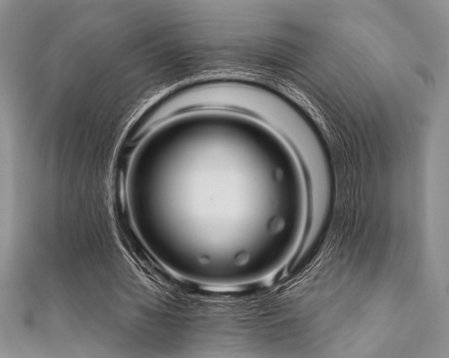 X0000112110436200908041544