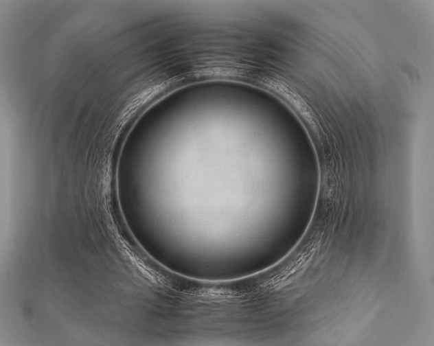 X0000112110437200908041544