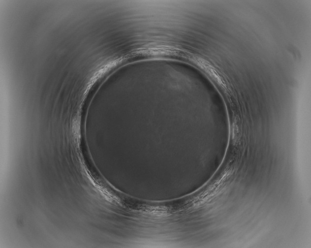 X0000112110438200908041544