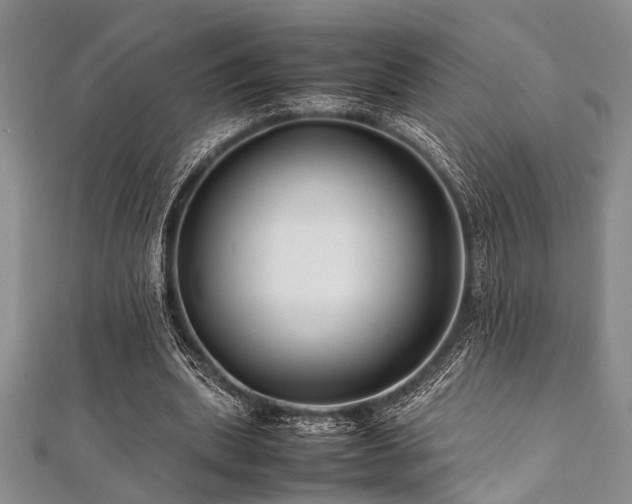 X0000112110439200908041544