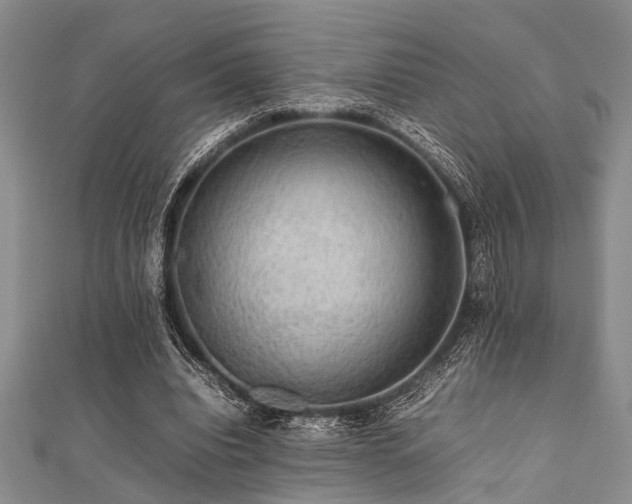 X0000112110440200908041544