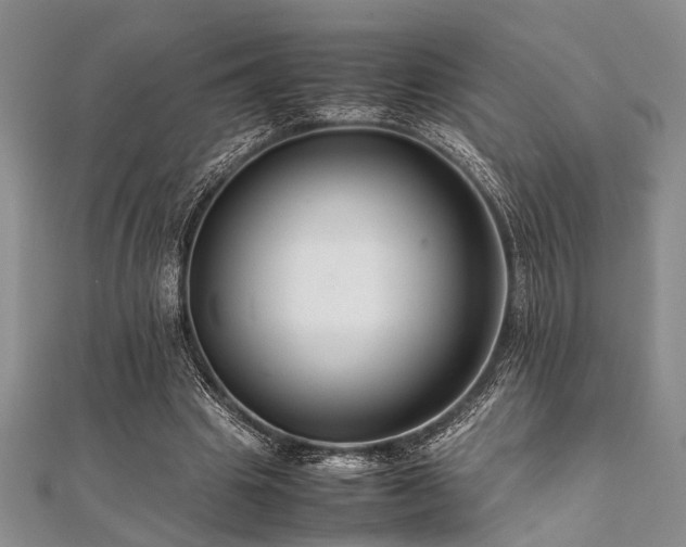 X0000112110441200908041544