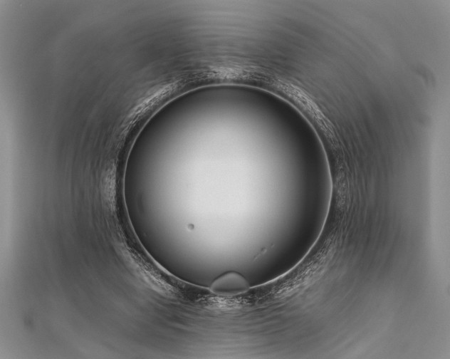 X0000112110442200908041544