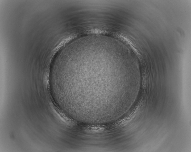 X0000112110443200908041544