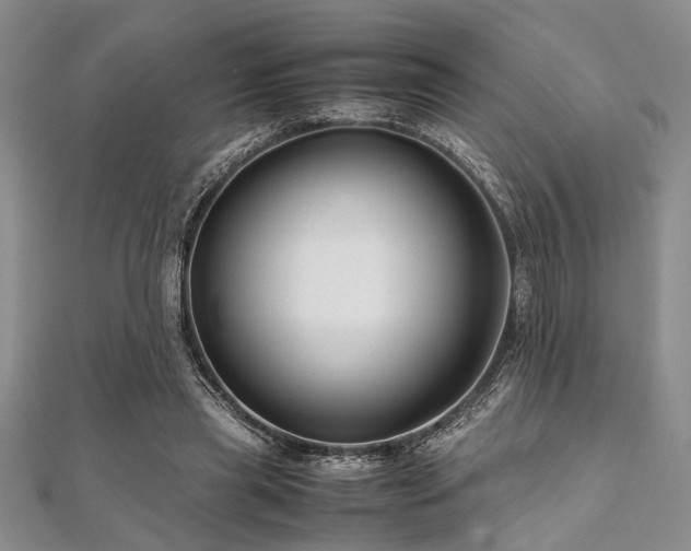 X0000112110445200908041544