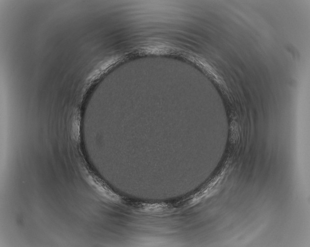 X0000112110446200908041544