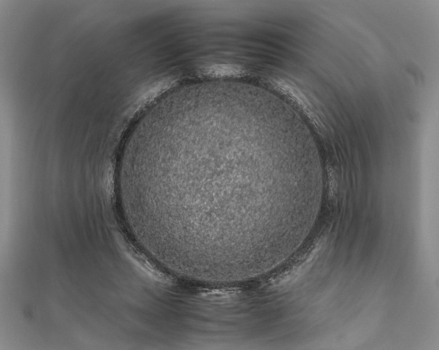 X0000112110447200908041544