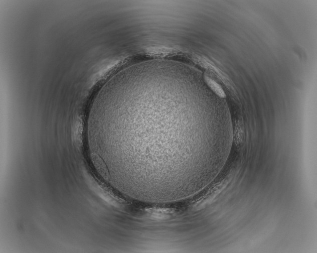 X0000112110448200908041544