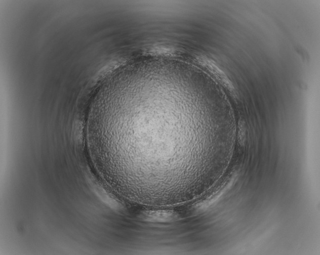 X0000112110449200908041544