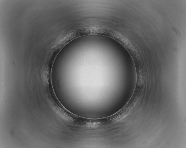 X0000112110450200908041544