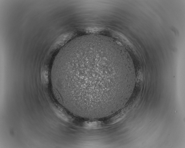 X0000112110452200908041544