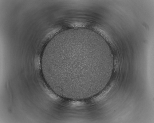 X0000112110453200908041544