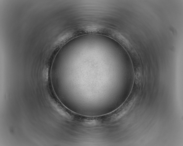 X0000112110454200908041544