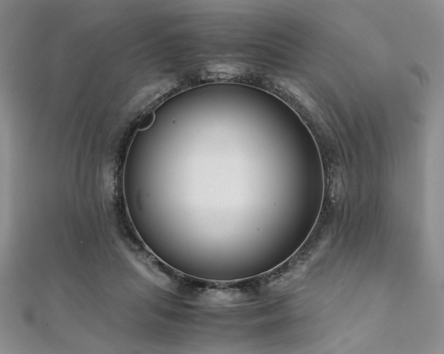 X0000112110455200908041544